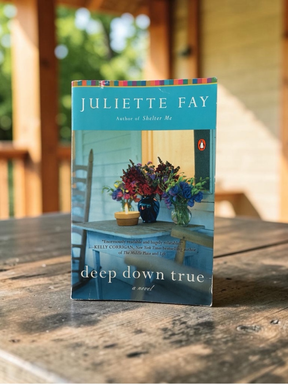 Juliette Fay "deep down true" Paperback - good condition